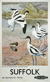 Suffolk, Poster der British Railways (BR), ca. 1950er Jahre